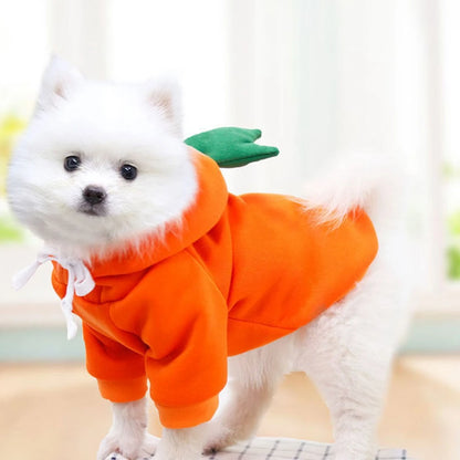 Sweet dog sweater